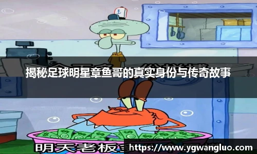 揭秘足球明星章鱼哥的真实身份与传奇故事