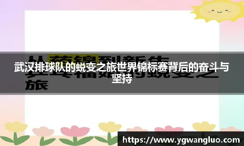 武汉排球队的蜕变之旅世界锦标赛背后的奋斗与坚持